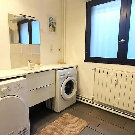 Cosy Laurier - 2ch - Quiet Hypercenter Apartment Pau