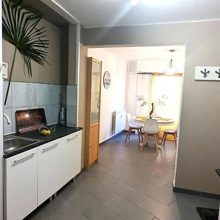 Apartment Cosy Laurier - 2ch - Quiet Hypercenter Pau